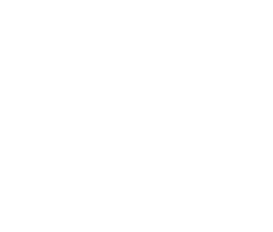 財(cái)務(wù)公司網(wǎng)站案例